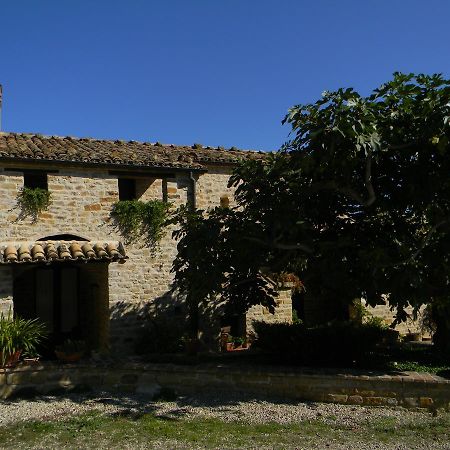 Azienda Agrituristica Colle San Giorgio Castiglione Messer Raimondo Luaran gambar