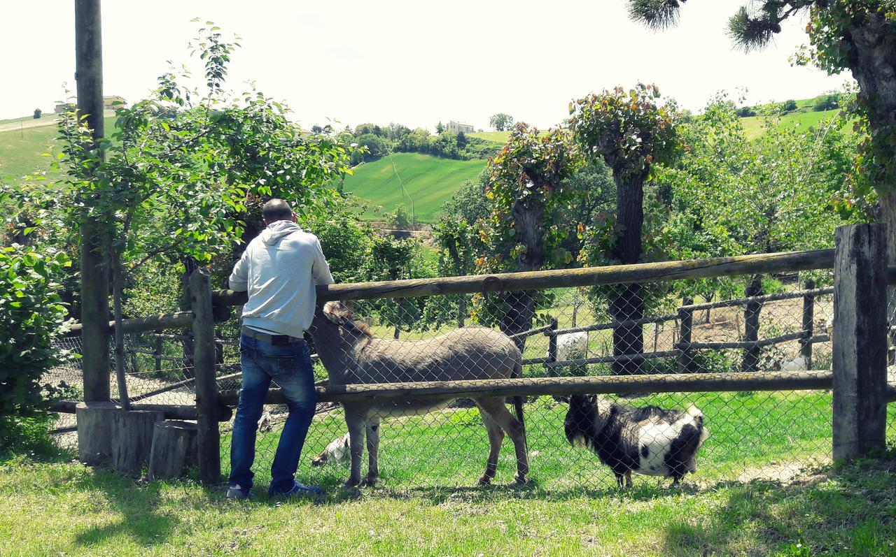 Azienda Agrituristica Colle San Giorgio Castiglione Messer Raimondo Luaran gambar