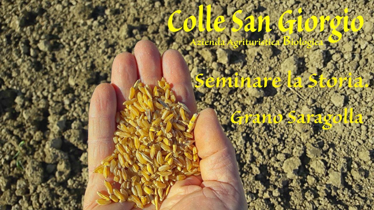 Azienda Agrituristica Colle San Giorgio Castiglione Messer Raimondo Luaran gambar