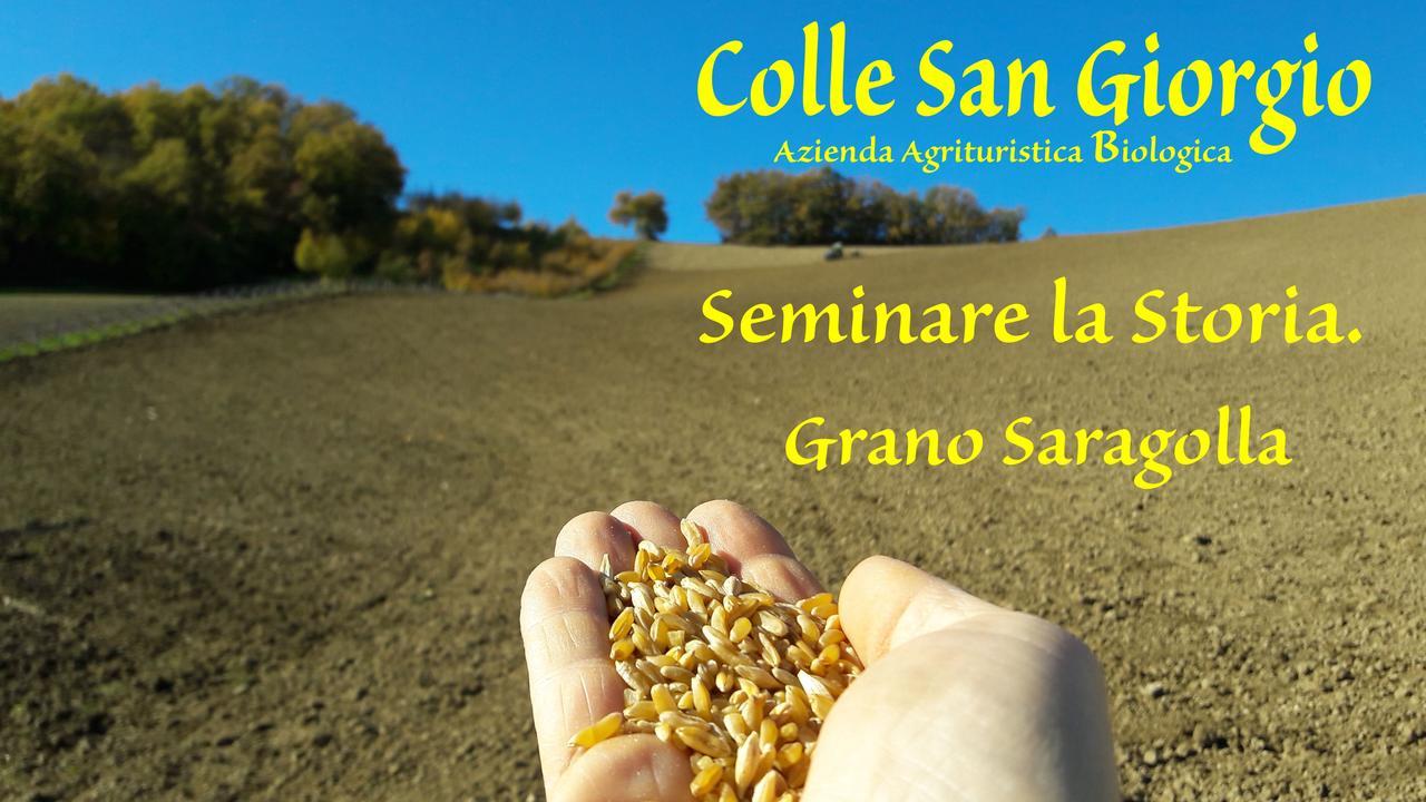 Azienda Agrituristica Colle San Giorgio Castiglione Messer Raimondo Luaran gambar